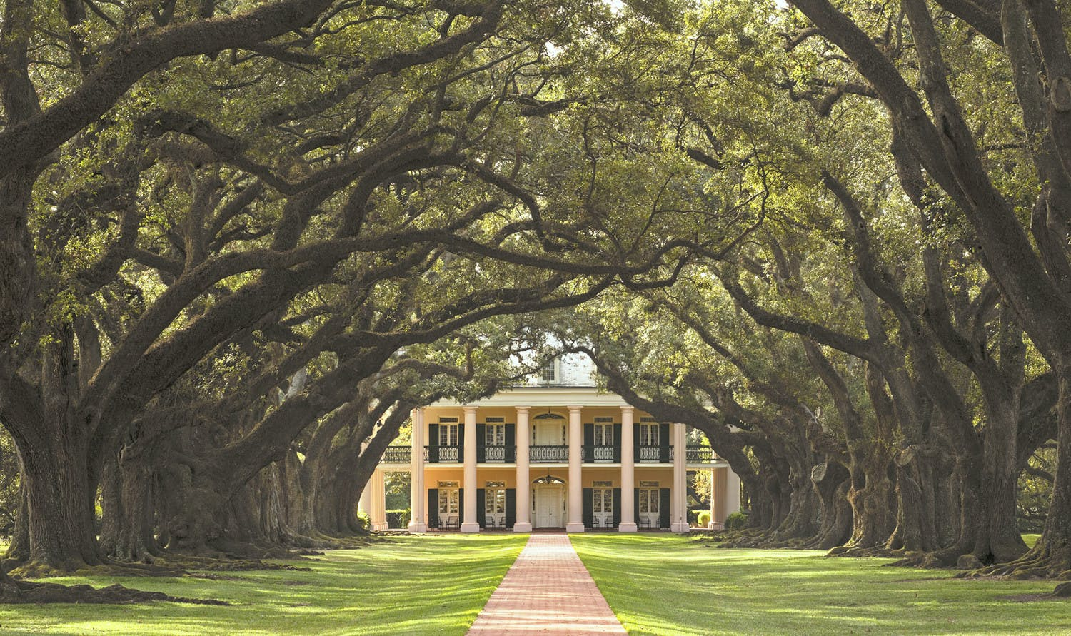 Oak Alley Plantation: Tour from New Orleans - Photo 1 of 10